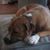 Peg Schuler Armstrong's profile image