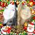 Brittany Boring's profile image