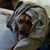 Melissa Carnell's profile image