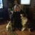 Rosanna Flinchum Perry's profile image