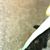 Matthew Hiller Stebbins's profile image
