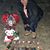 Carol Martin's profile image