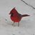 Deb Fries's profile image