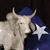 Janet Hamman Hunt's profile image