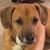 Chris Carter's profile image
