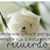 Arcelia S Mendoza's profile image