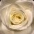 Jan Keeney Dwyer's profile image