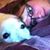 Brittany Nicole Feldpausch's profile image