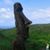Rayell Wright's profile image
