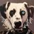 Kirsten Newton's profile image