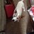 Trudy Burns's profile image