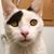 Katherine Christenson's profile image
