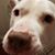 Brady Gilpin's profile image