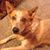 Linda Ash's profile image