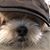 John De Cola's profile image