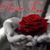 Narda Argueta Flores's profile image