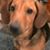 J Paul Bruhn's profile image