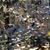 Nancy Wolter's profile image