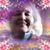 Judy Glueck Kuhn's profile image
