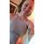 Molly Gardner's profile image
