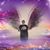 Shelly Burr Vacchiano's profile image