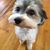 Jeannie Laugherty's profile image