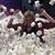 Melinda Holland Costello's profile image