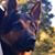 Allan Painter's profile image