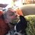 Brett Wiggins's profile image