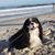 Eileen Wilhelm-Kuschel's profile image