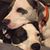 Deanne Silverdahl's profile image