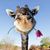 Micha Petersen's profile image