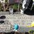 Maria Sanchez's profile image
