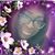 Cynthia Warner's profile image
