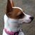 Gary F. Schlueter's profile image