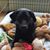 Elizabeth Murray's profile image