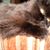Mary Hunter's profile image