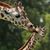 Denise Lemoi's profile image