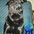 Chiquita Chiclana's profile image