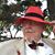 Carl Schubert's profile image