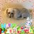 Judy Dalton's profile image