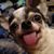 Clair Louise Parrish's profile image