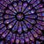 Deborah Forczek's profile image
