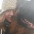 Karen Keohane Sparapani's profile image