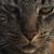Edmund Trevino's profile image