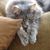 Deborah Worroll-Witkowsky's profile image