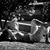Judith Seino's profile image