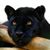 Teodorol Lopez's profile image