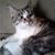 Faith Kruse's profile image
