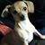 Brenda A Crouse's profile image
